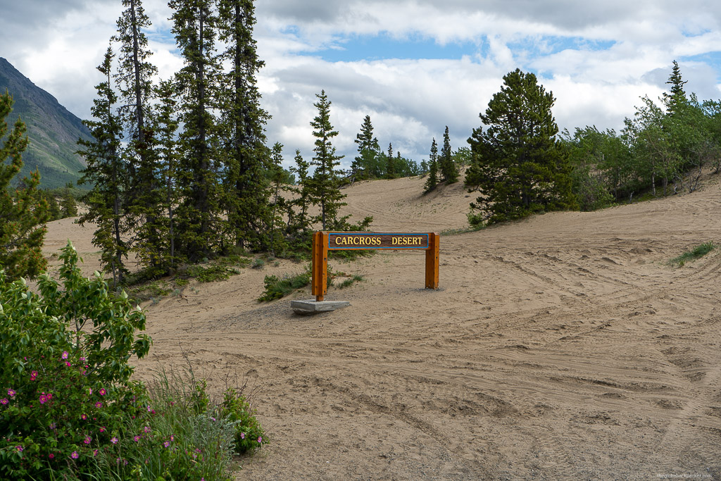 Carcross Desert – World’s Smallest&nbsp;Desert